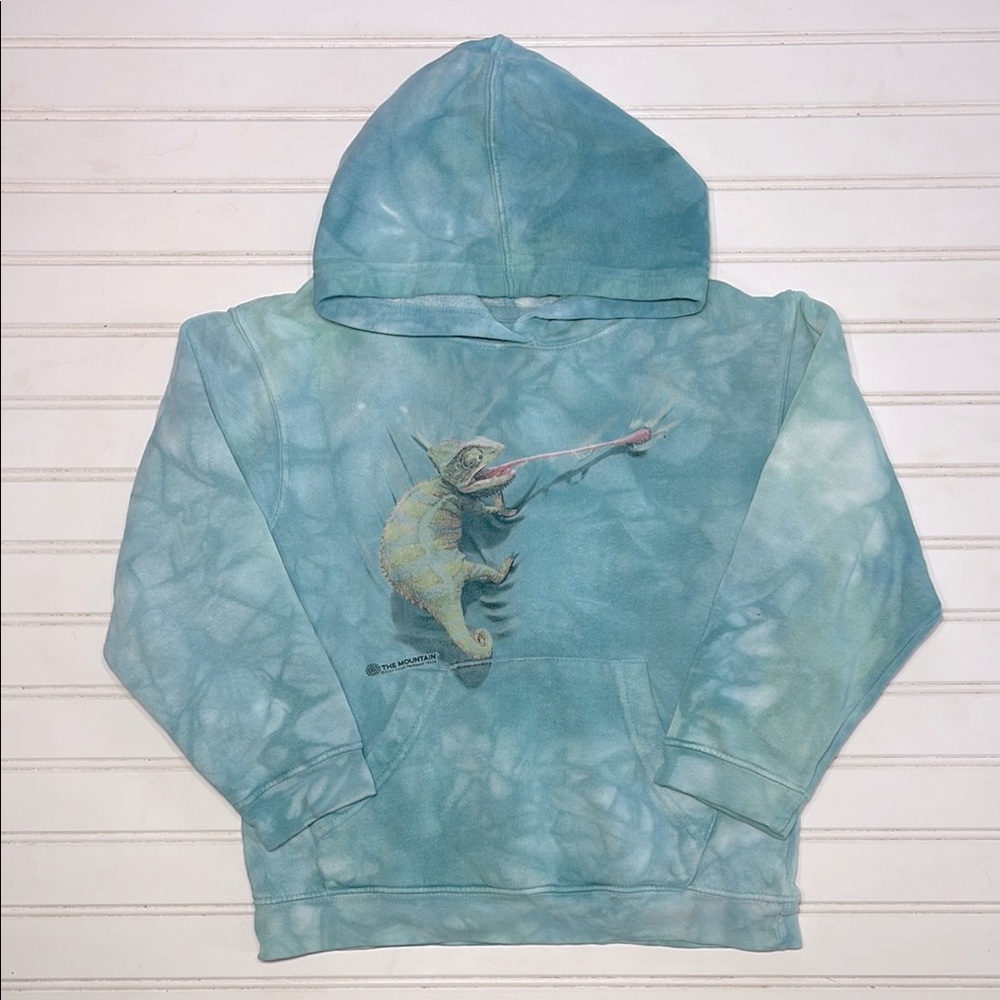 THE MOUNTAIN Iguana Garment Dyed Thick Tie Dye Hoodie Pullover Sweatshirt